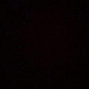 Meet your Posher, Chase